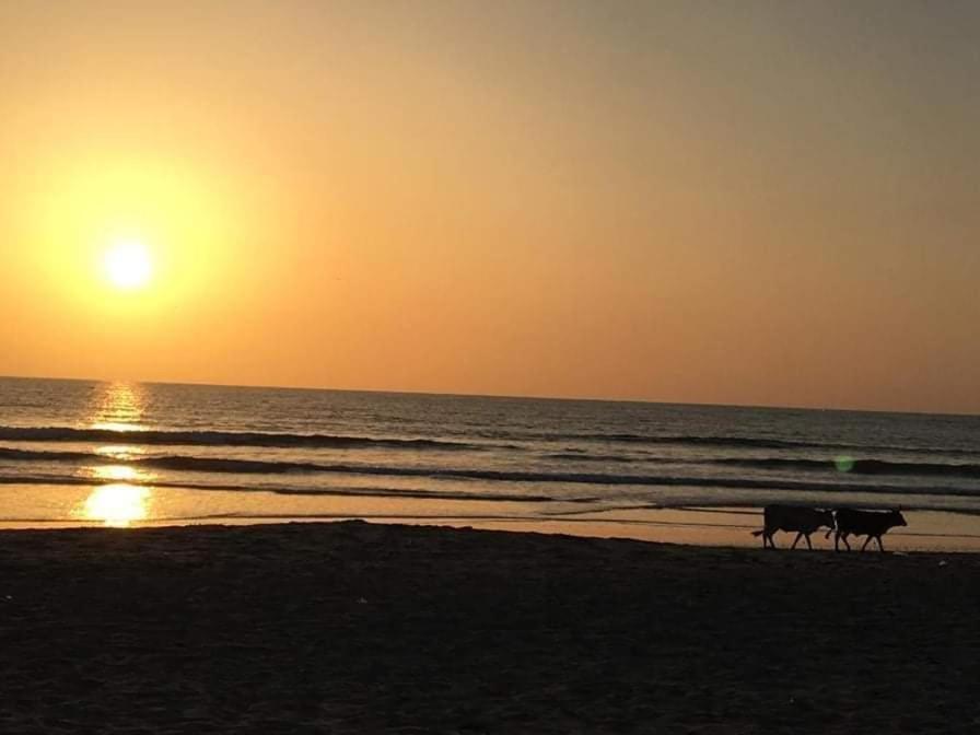 Kinkiliba Beach Lodge Sanyang Exterior foto